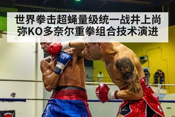 世界拳击超蝇量级统一战井上尚弥KO多奈尔重拳组合技术演进
