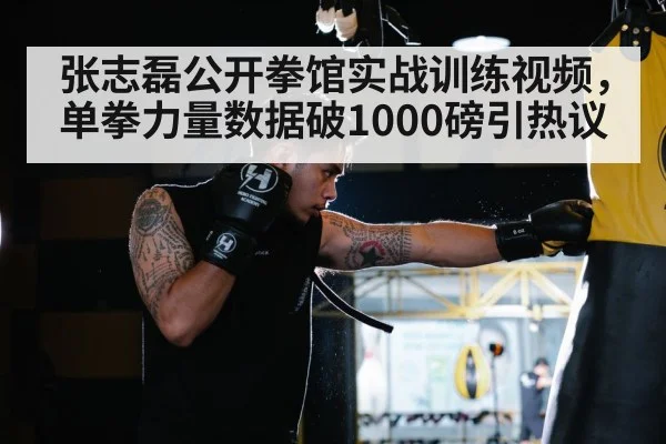 张志磊公开拳馆实战训练视频，单拳力量数据破1000磅引热议